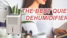 5 Best Quiet Dehumidifier